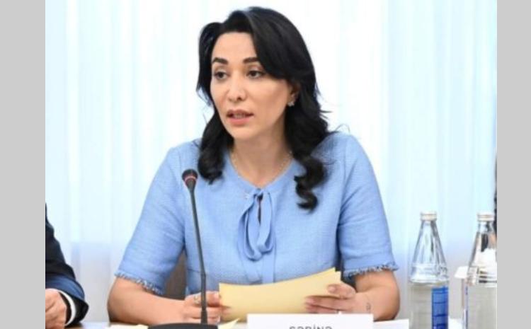 COP29 ilə əlaqədar Təşkilat Komitəsinin beşinci iclası keçirilib 