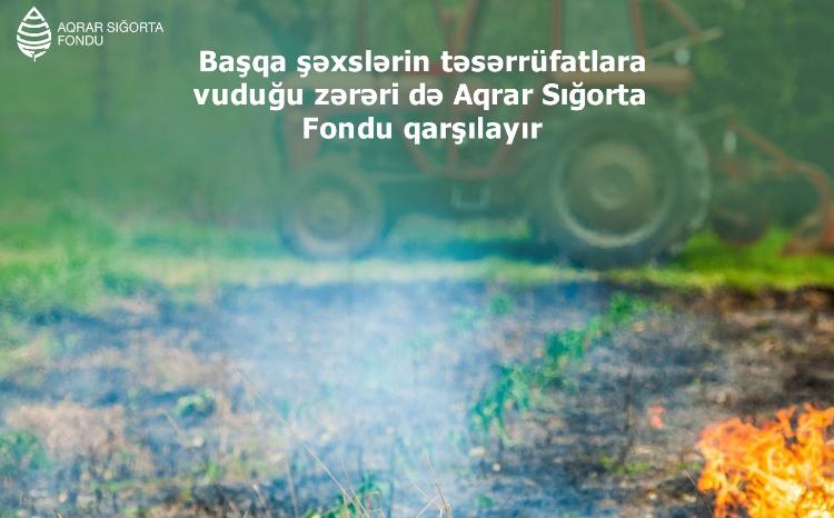 Aqrar sığorta mexanizmi - üçüncü şəxslərin hərəkətlərindən dəyən zərərə görə sığorta müqaviləsi bağlayın! 