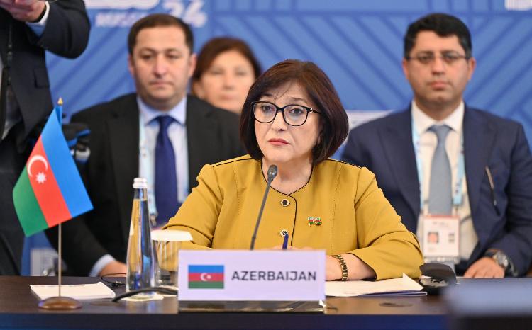 Sahiba Gafarova Says Parliamentary Organisations Have Become Pressure and Double-Standards Tools 