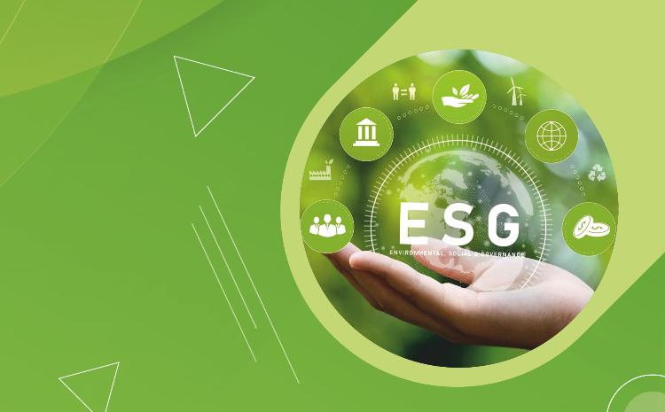 Ekoloji, sosial və idarəetmə prinsiplərinə ümumi baxış və trendlər 