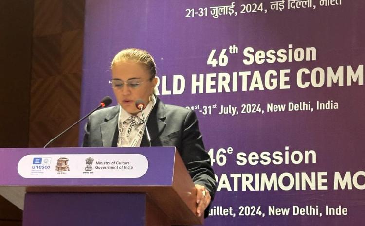 UNESCO Ümumdünya İrs Komitəsinin 46-cı sessiyası çərçivəsində bir sıra görüşlər keçirilib 