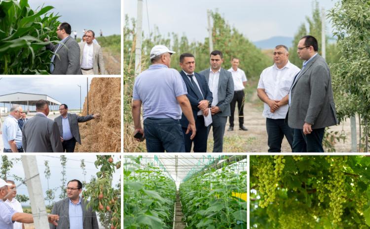 Nazir Məcnun Məmmədov Şabranda təsərrüfatlara baş çəkib, fermerlərlə görüşüb 