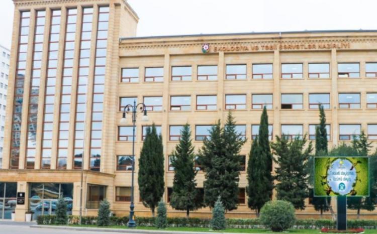 Bəhruz Məmmədov: Kəlbəcər rayonunda dağ keçilərinin vurulması ilə bağlı yayılan görüntülər araşdırılır 