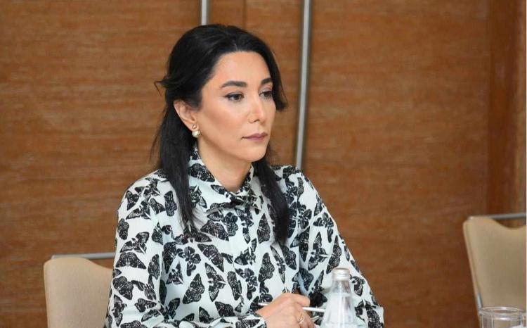 Ombudsman Səbinə Əliyeva vətəndaşları qəbul edib 
