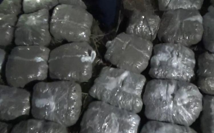 DİN BNMİ-nin sonuncu əməliyyatı zamanı 61 kiloqram narkotik vasitə dövriyyədən çıxarılıb - VİDEO