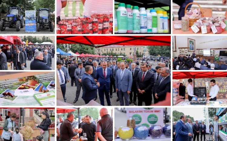 Daşkəsəndə Aqrar Biznes Festivalı keçirilib 
