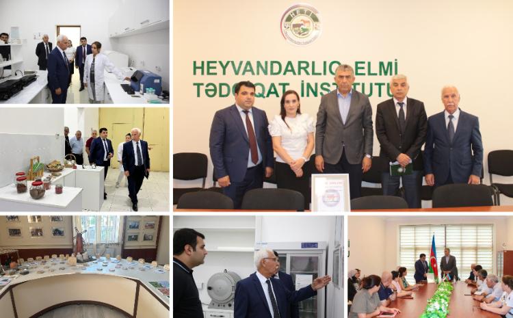 Elmi Tədqiqat İnstitutlarında sağlamlıq və əməyin mühafizəsi işinin təşkili ilə bağlı silsilə tədbirlər keçirilib 