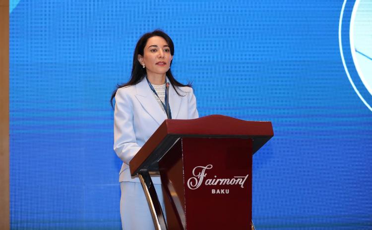 Ombudsman Səbinə Əliyeva "Law and climate" adlı beynəlxalq konfransda iştirak edib 
