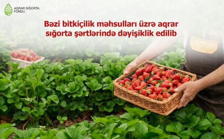 Aqrar sığorta şərtləri dəyişib 