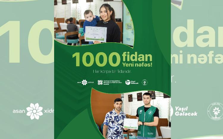 “Yeni nəfəs” layihəsi çərçivəsində bu günədək 1000 ağac əkilib 