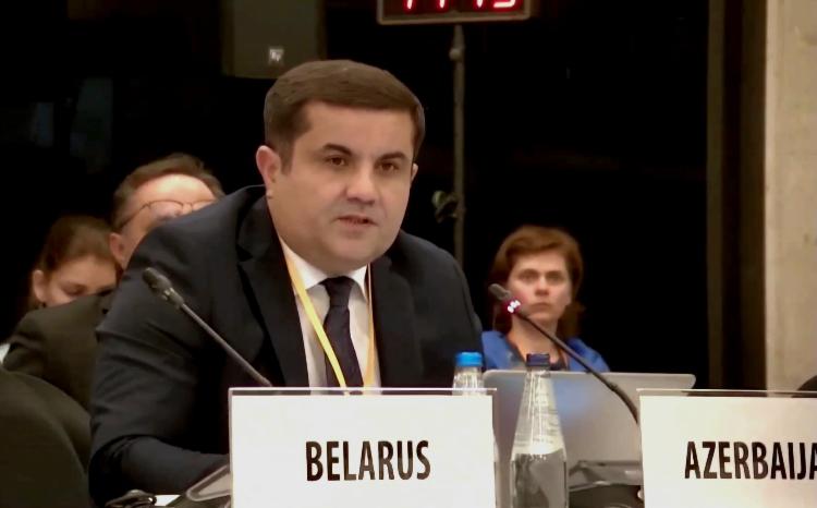 Ombudsman Aparatının rəhbəri ATƏT-in İnsan Ölçüsü Konfransının VIII plenar sessiyasında çıxış edib 