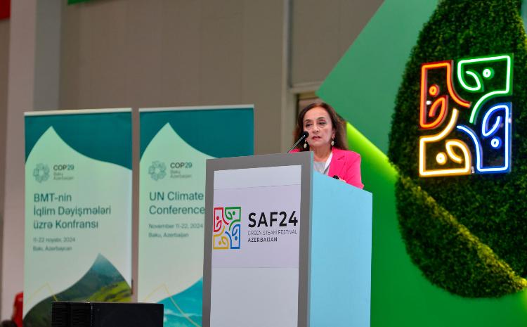 BDU-nun dosenti Beynəlxalq Yaşıl SAF 2024 iştirakçılarına iqlim dəyişmələri ilə bağlı təlim keçib 