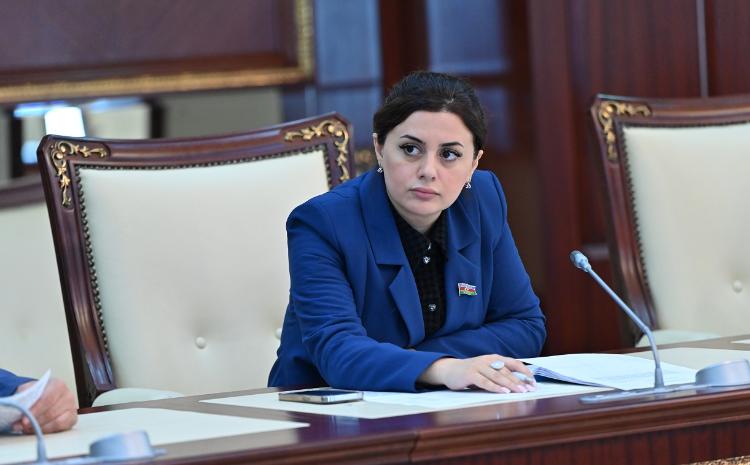 Zəngilan: Zəngəzura giriş qapısı 