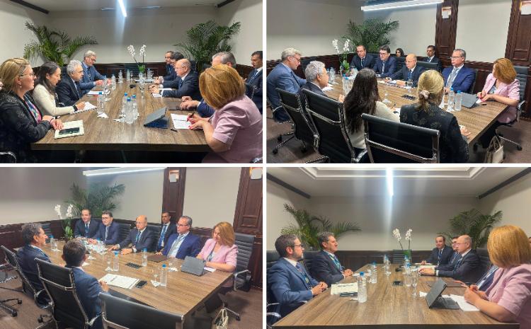 Energy agenda of COP29 was discussed with IEA and IRENA in Brazil 