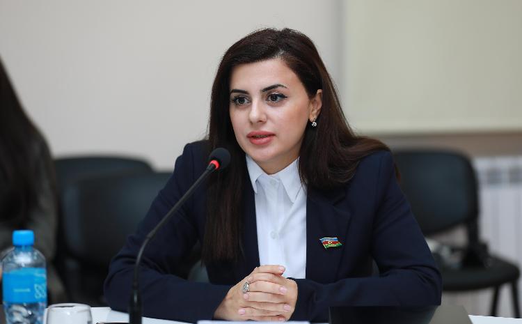 “Qubadlı şəhəri günü”nün təsis edilməsi: Şəhərin tarixi irsinin qorunması 