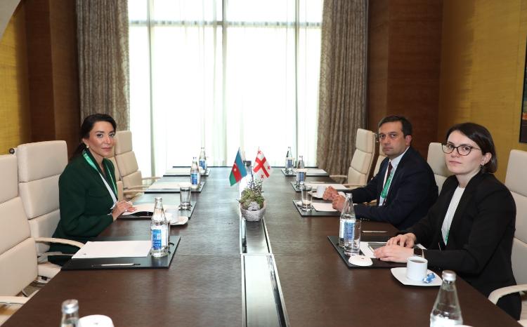 Azərbaycan Ombudsmanı Gürcüstanın Xalq Müdafiəçisi ilə görüş keçirib 