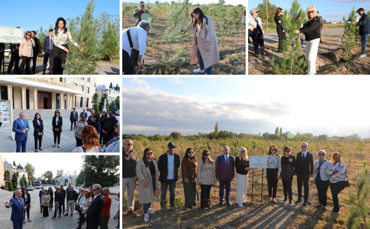 Beynəlxalq Bakı Forumunun iştirakçıları Tərtərdə ağac əkiblər 