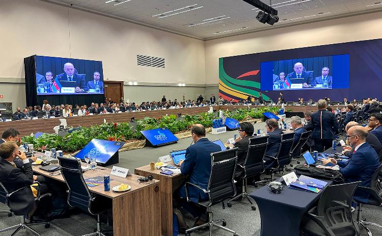 Energetika naziri G20 Enerji Keçidi Nazirlər İclasında COP29-un təşəbbüslərindən danışıb 