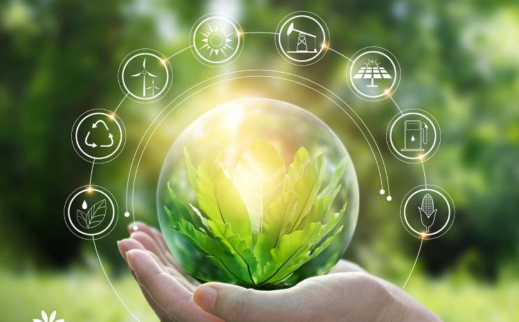 Yaşıl biznes necə olmalıdır? 