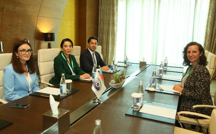 Ombudsman Milli İnsan Hüquqları Təsisatlarının Avropa Şəbəkəsinin baş katibi ilə görüşüb 