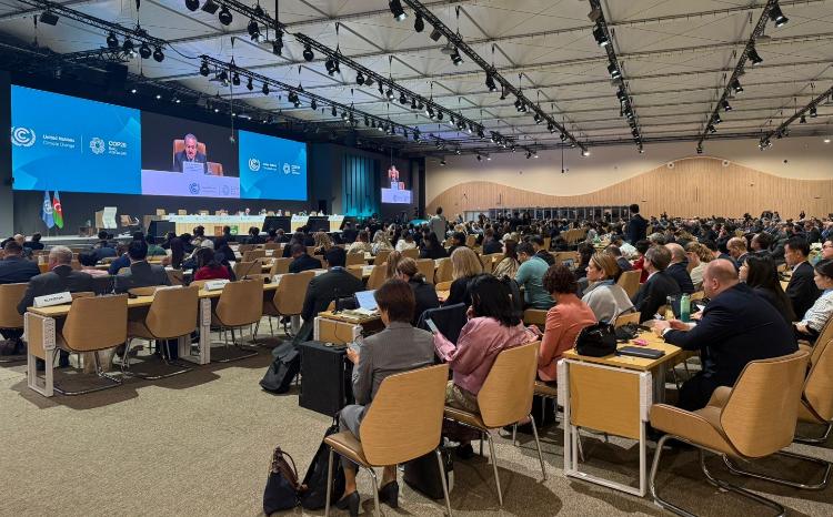 Akademik Rafael Hüseynov COP29 tədbirində çıxış edib 