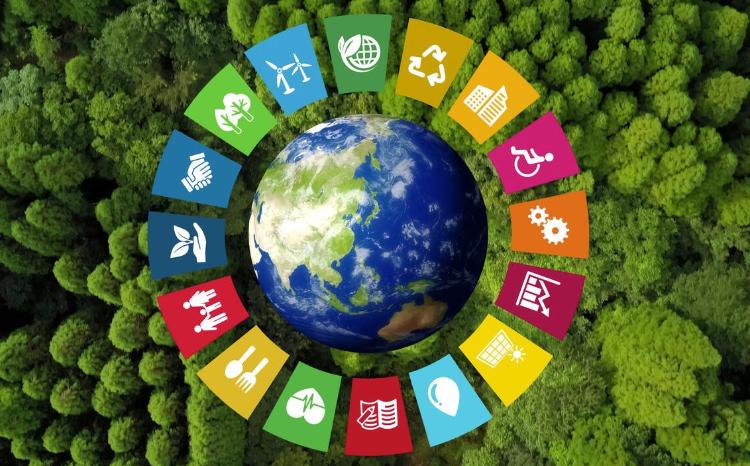 Rio Conventions: Green Group committed to the core principles of global solidarity, common responsibility, urgent collective action 