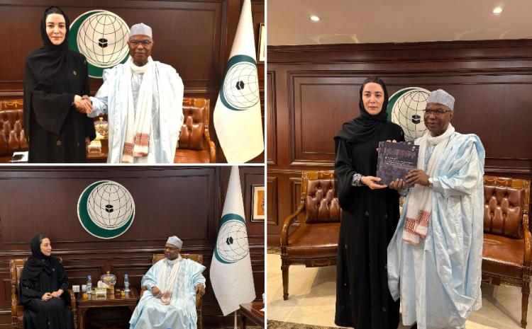 Ombudsman Səbinə Əliyeva İƏT-in Baş katibi Hissein İbrahim Taha ilə görüşüb 