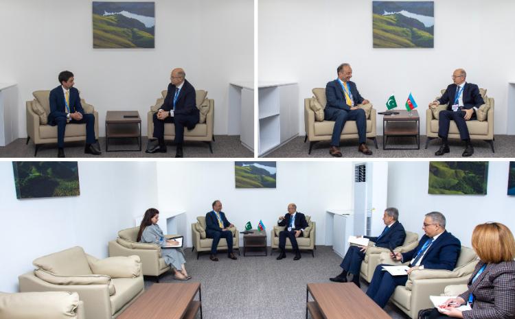 Energetika naziri COP29 tədbiri zamanı bir sıra görüşlər keçirib 