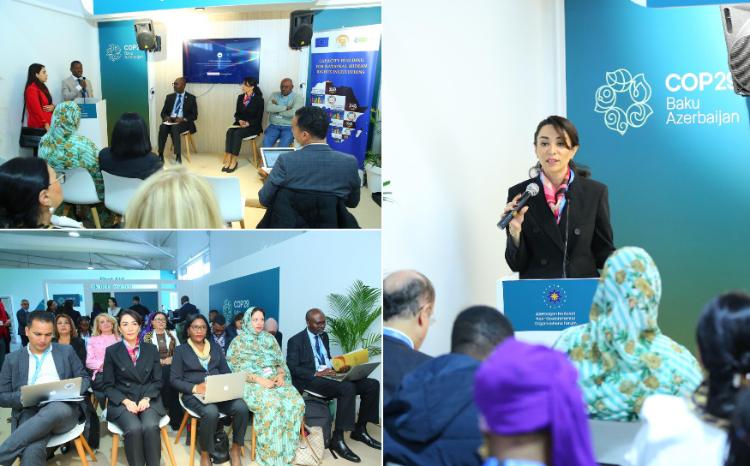 Ombudsman Milli QHT Forumu və Pan-Afrika İqlim Ədaləti Alyansı tərəfindən təşkil olunmuş yan tədbirdə iştirak edib 