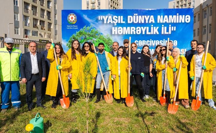 PAŞA Sığorta şirkəti “Yaşıl Bakı” əmlak sığortası məhsulunun KSM proqramı çərçivəsində ağacəkmə aksiyası təşkil edib 