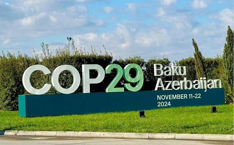 "COP29-un Azərbaycanda keçirilməsi ölkəmizin qlobal iqlim siyasətindəki mövqeyini gücləndirəcək" 