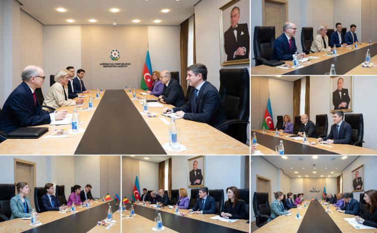 Belçikanın energetika naziri və  Almaniya Külək Enerjisi Assosiasiyasının (GWEA) prezidenti ilə müzakirələr aparılıb 