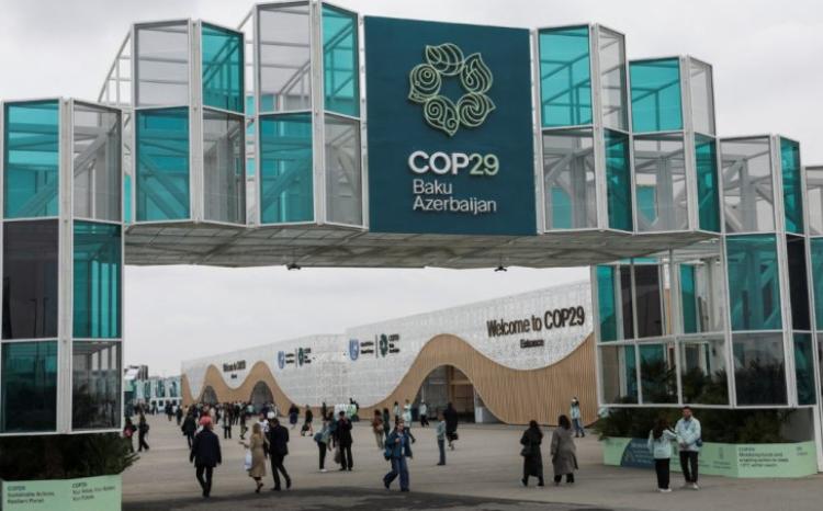 COP29-da qəbul olunan qərarlar tarixi əhəmiyyət daşıyır - RƏY