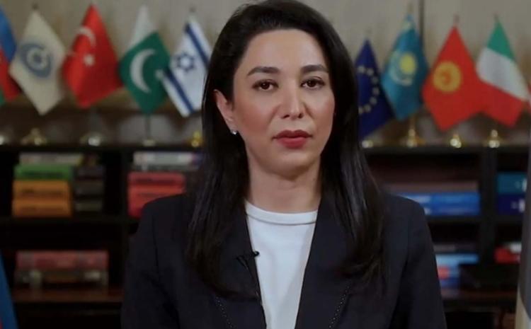 Amerikalı konqresmenlərin ölkəmizə qarşı qərəzli açıqlamalarına Ombudsmanın reaksiyası 