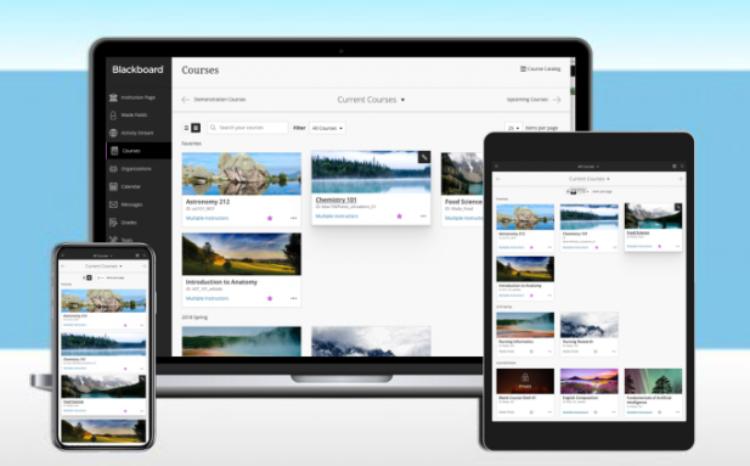 Студенты и преподаватели БГУ присоединились к образовательному процессу через платформу Blackboard 