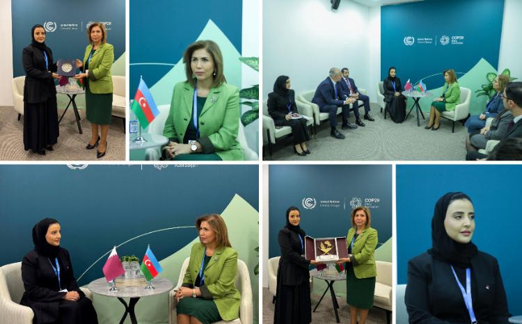 Bahar Muradova COP29 Konfransı çərçivəsində Qətər Dövlətinin Sosial İnkişaf və Ailə Nazirliyinin nümayəndə heyəti ilə görüşüb 