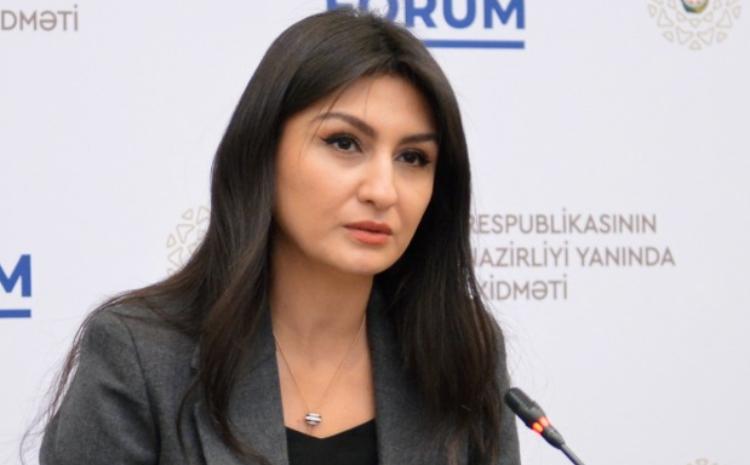 “Yeni Vergi Məcəlləsi üzərində işləyirik” 