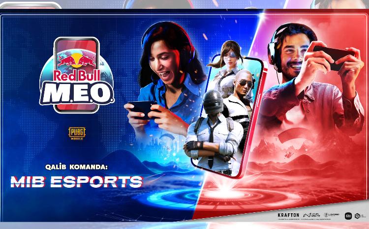 Победитель турнира Red Bull M.E.O. 2024 по игре "PUBG Mobile" определён! 