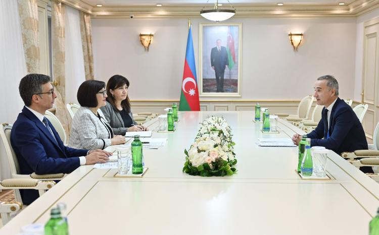 Спикер Милли Меджлиса Сагиба Гафарова встретилась с вице-президентом ПА ОБСЕ 