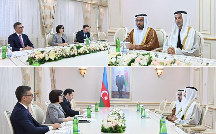 Speaker of Milli Majlis Sahiba Gafarova Meets Chairman of Global Council for Tolerance and Peace 