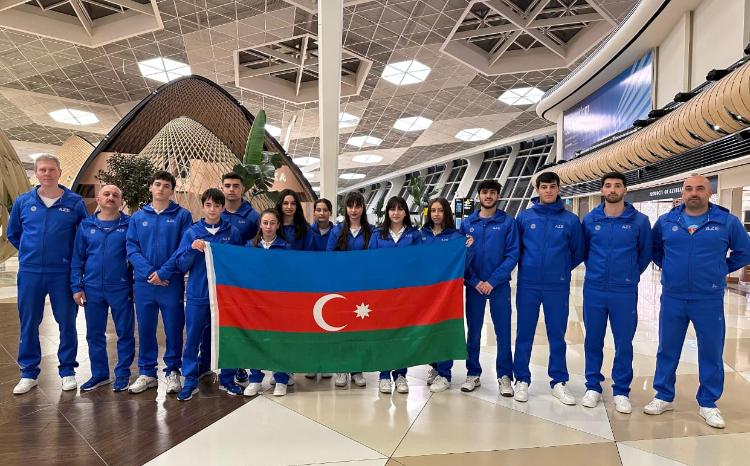 Stolüstü tennisçilər Finlandiyaya yollanıblar 