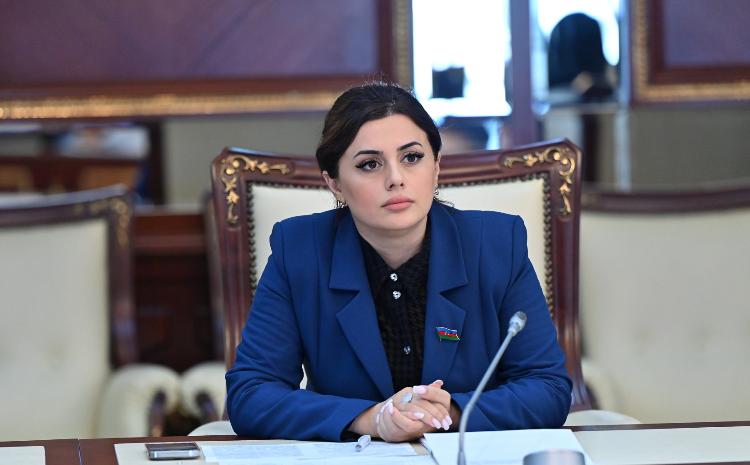 Prezident İlham Əliyevin idman strategiyası: qlobal uğurların əsas dayanağı 