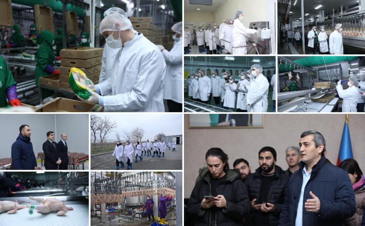 Media nümayəndələri Siyəzəndə “HALAL” uyğunluq sertifikatı almış müəssisənin fəaliyyəti ilə tanış olublar 