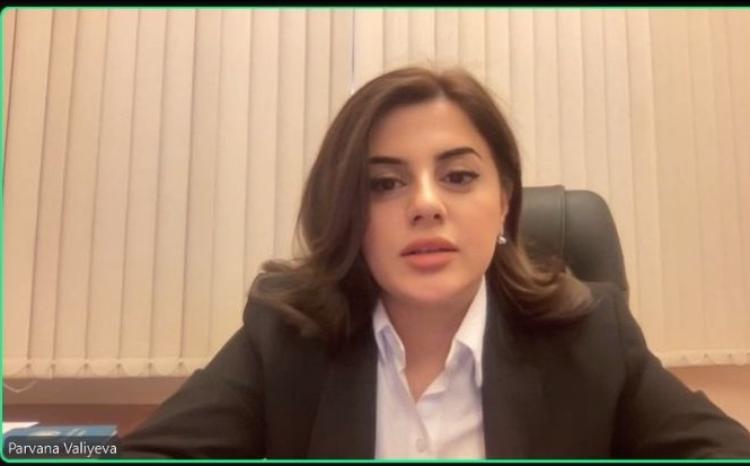 Pərvanə Vəliyeva COP29 QHT koalisiyasında qlobal məsələlərə münasibət bildirib - FOTO