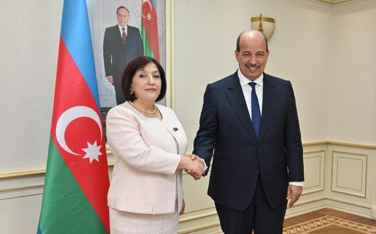 Спикер Милли Меджлиса Сагиба Гафарова встретилась с президентом Парламентской Ассамблеи Средиземноморья 