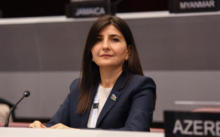 Milli Məclisin deputatı İspaniyaya səfər edəcək 