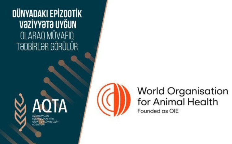 Dünyadakı epizootik vəziyyətlə bağlı bəzi məhdudiyyətlər tətbiq olunub 
