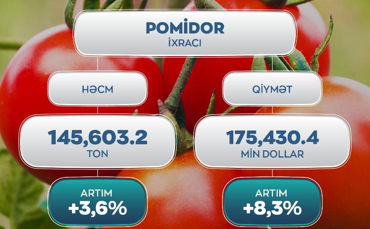 2024-cü ildə Azərbaycandan xarici bazarlara pomidor ixracında 3,6% artım qeydə alınıb 