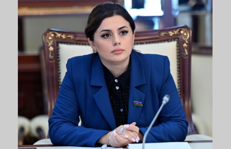 "Sənəd üzərində qalacaq olan bu tərəfdaşlıq yalnız erməni xalqına populizm və gözdən pərdə asmaq üçündür" - DEPUTAT 