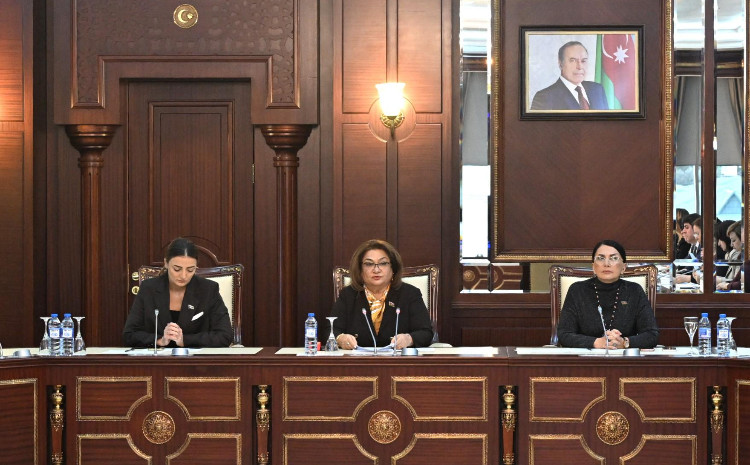 Milli Məclisin Ailə, qadın və uşaq məsələləri komitəsinin 2025-ci ilin yaz sessiyasında ilk iclası keçirilib 